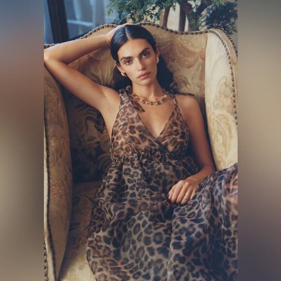 Anthro Daniel Rainn Organza Midi Dress Sleeveless V-Neck Brown Black Size Medium - Picture 2 of 16